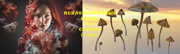 ГАЛЛЮЦИНОГЕННЫЕ ГРИБЫ Алзамай