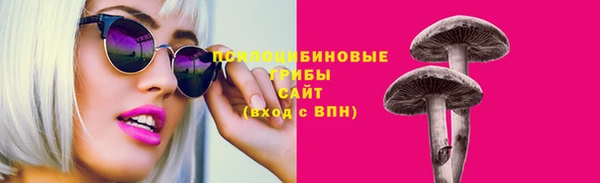 ГАЛЛЮЦИНОГЕННЫЕ ГРИБЫ Алзамай
