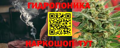 сатива Ирбит