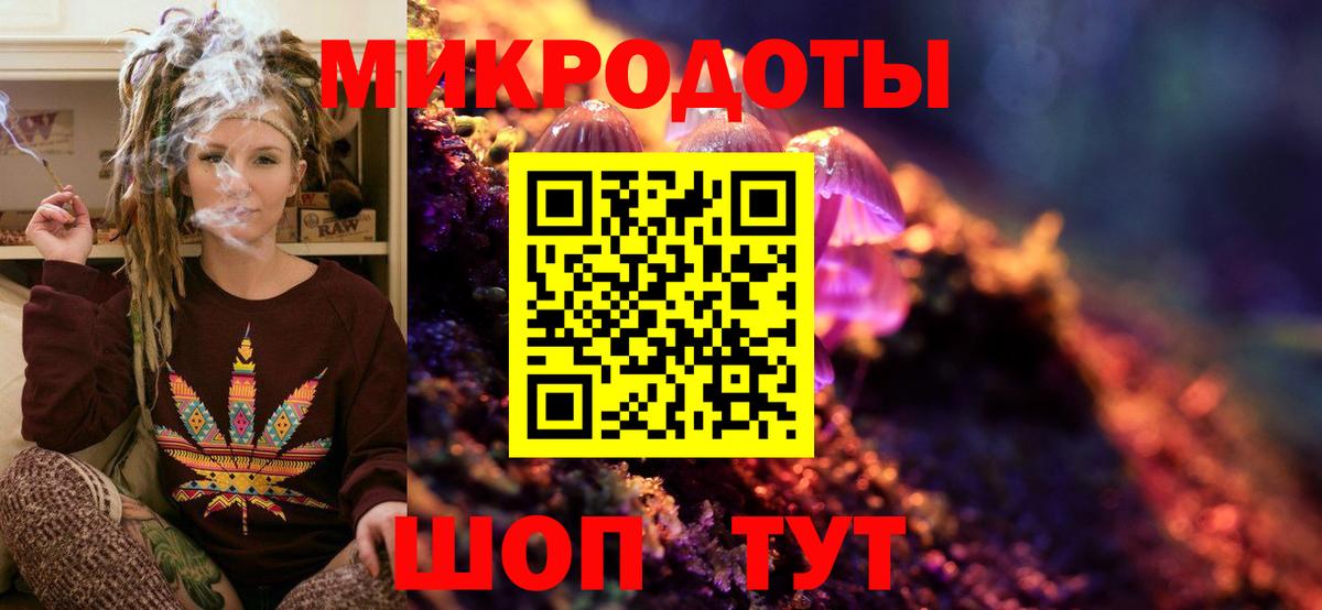 Псилоцибиновые грибы Psilocybine cubensis Еманжелинск